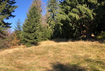 Teren agricol extravilan de 4900 mp, în 13 Decembrie - 8