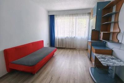 Apartament cu 2 camere semidecomandat în Cetate - 2