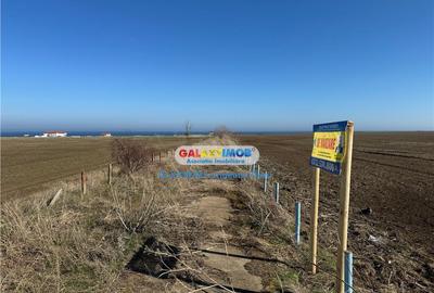 Teren intravilan 47.400 mp, Vama Veche, 200 m de Marea Neagr - 3