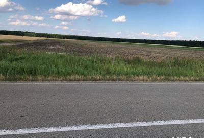 Teren de 15000 mp, în Pielești - 2