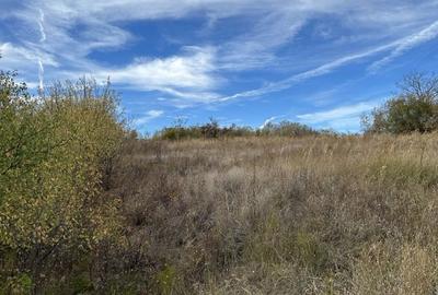 Teren de 5246 mp, în Ceptura