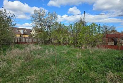 Casă cu 3 camere cu Teren 3863 Mp în Batiz