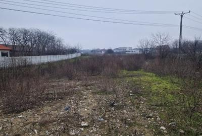 Teren Construcții intravilan de 1250 mp, în Malu Mare - 3