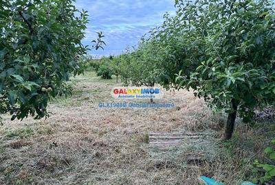 Teren de vanzare 754mp Corbeanca zona Laguna Albastra - 3