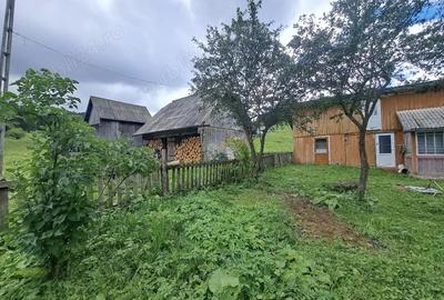 Casă cu 2 camere în Izvoarele Sucevei - 3