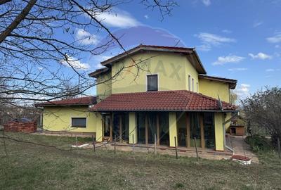Casa cu teren 4800 mp si multiple posibilitati in Tureni - 4