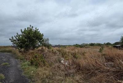 Teren de 426 mp, în Brâncoveanu - 9