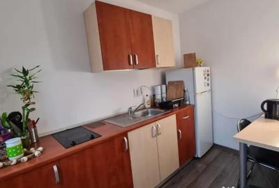 Apartament cu 2 camere semidecomandat, mobilat în Eminescu - 5