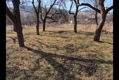 Teren de 2848 mp, în Aghireșu - 11