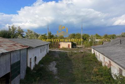 Spațiu industrial, de 21,018 mp, în Exterior Vest - 7