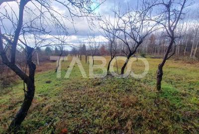 Teren extravilan 1000 mp Statiunea Climaterica Sambata de Sus - 3