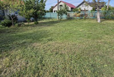 Casa batraneasca , foisor si teren de vanzare - 6