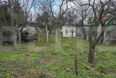 Teren de 1996 mp, în Viile Satu Mare - 10