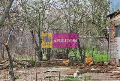 GIURGIU - COM. BUCSANI (SAT OBEDENI) CASA 2 CAM DE VANZARE - 23