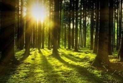 Spațiu comercial, în Păuleasca - 1