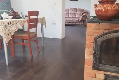 Proprietar vanzare casa 2 nivele renovata linga Stei, 200mp+beci 20m+ sura 90mp+ curte+teren 4 ari - 10