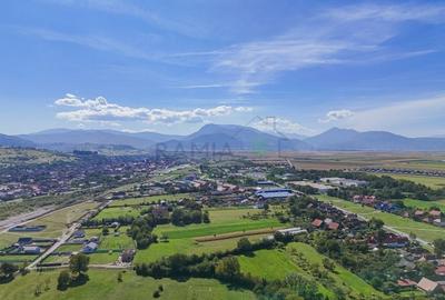 Teren Construcții intravilan de 1430 mp, în Cărpiniș - 12