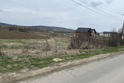 Teren de 720 mp, în Plavia - 4