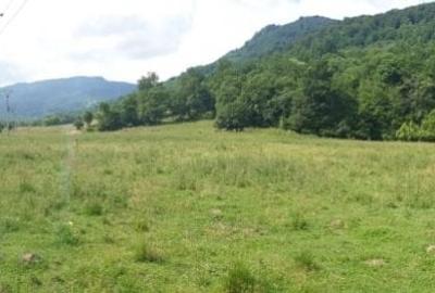 Teren agricol extravilan de 20500 mp, în Periferie