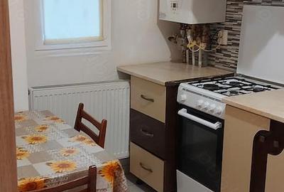 Garsonieră decomandată în Big-Bascov - 1