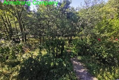 Vanzare Vila Breaza Nistoresti - 4