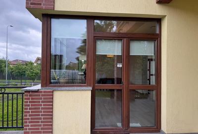 Tractorul, str. Argintului, casa de inchiriat, 5 camere, garaj, curte proprie - 10
