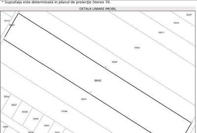 Teren de 14000 mp, în Dobroești - 3