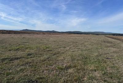 Teren de vanzare in Harman 4,4 Hectare - 5