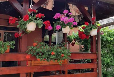 Casa in Cartierul Unirii - 8