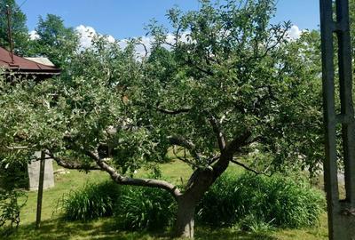 Spațiu comercial, în Lac de Verde