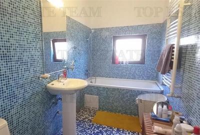 Vila spatioasa 207mp de inchiriat in Rosu (Chiajna) - 5