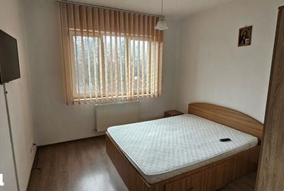 Apartament cu 2 camere decomandat în Vest - 5