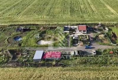 Farmhouse la 14km de Timisoara, teren agricol 1ha - 3