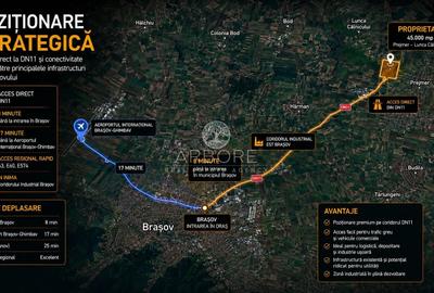 Teren Construcții intravilan de 45000 mp, în Prejmer - 6