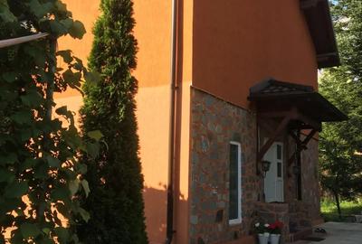 Casa pentru iubitorii de natura pe dealurile Comarnicului - 8