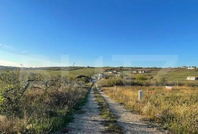 Teren de 630 mp, în Săldăbagiu de Munte - 4