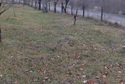 Teren de 2000 mp, în Ocina de Sus - 2