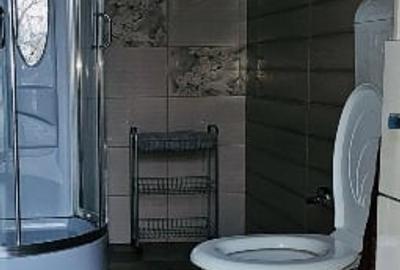 Casă și teren intravilan pentru investiții - 7