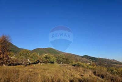 Teren 6,874mp Alexandru cel Bun / Strada plopusor - 9