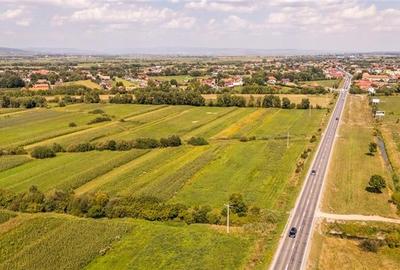 Teren extravilan Lunca Calnicului langa E574 - 4