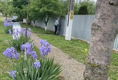 Casă cu 2 camere în Pogana - 8