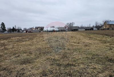 Casă / Vilă cu 12 camere, teren intravilan de 2869mp în Siminicea, SV - 33