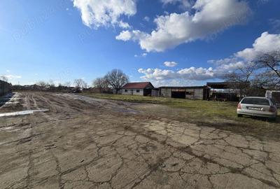 Teren in suprafata de 7774 intravilan | Constructi in suprafata de 1029 mp - 5