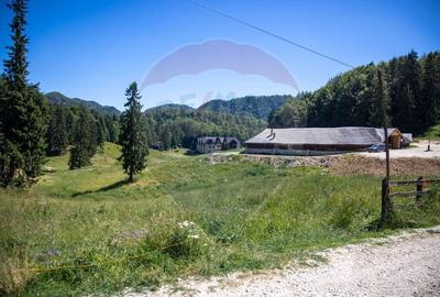 Teren 56599mp Dambovicioara / Soseaua DN 73Dealul sasului! - 2