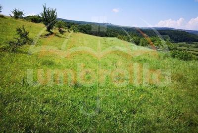 Teren de vanzare intravilan in Cluj-Napoca, Strada Soporului 1.500 mp