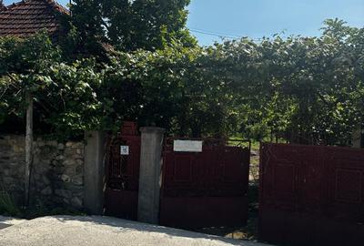 Casă cu 3 camere în Central - 1