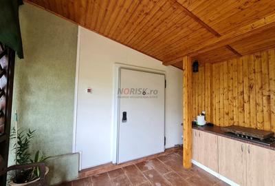 Vila + Afacere 15.000mp Clinceni - 8