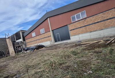 De inchiriat hala depozit - 2