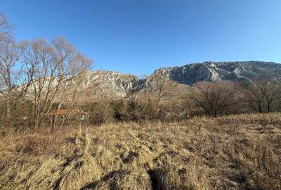 Spațiu comercial, în Rimetea - 2