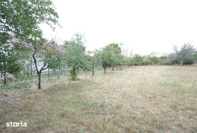 Teren de 1777 mp, în Ariceștii Rahtivani - 2
